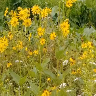 Crawford Farms Park - Blacklick, OH