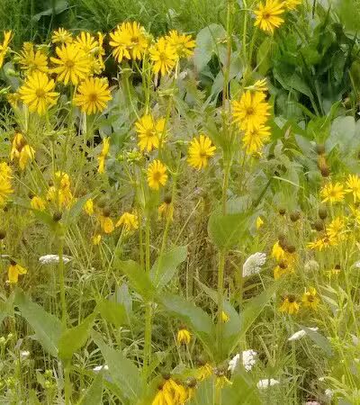 Crawford Farms Park - Blacklick, OH