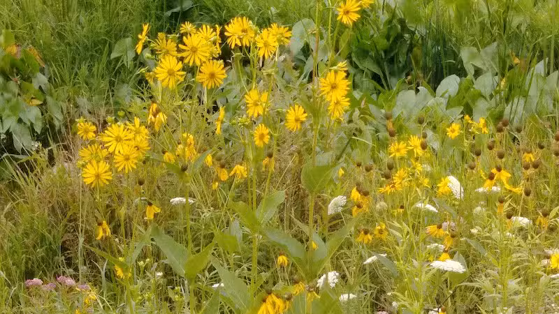 Crawford Farms Park - Blacklick, OH
