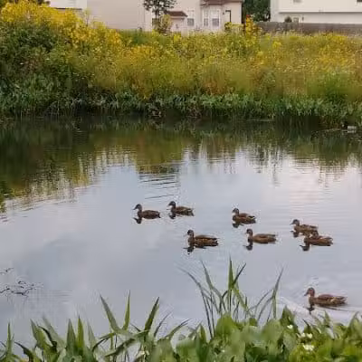 Crawford Farms Park - Blacklick, OH
