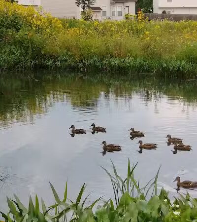 Crawford Farms Park - Blacklick, OH