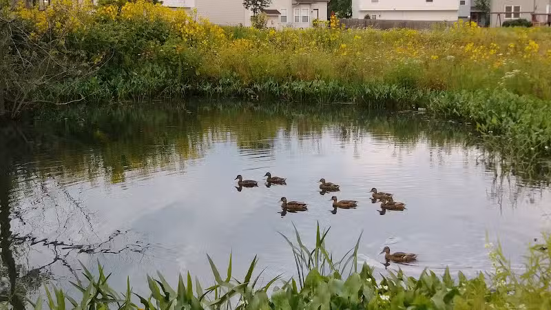 Crawford Farms Park - Blacklick, OH