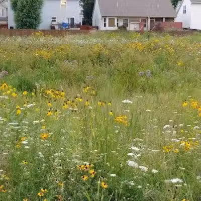 Crawford Farms Park - Blacklick, OH