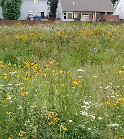 Crawford Farms Park - Blacklick, OH