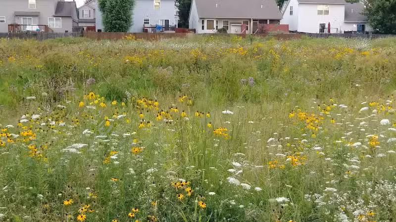 Crawford Farms Park - Blacklick, OH