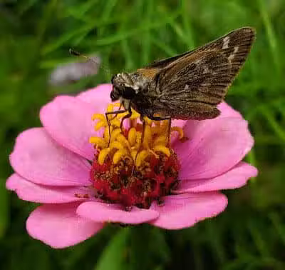 Crawford Farms Park - Blacklick, OH