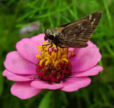 Crawford Farms Park - Blacklick, OH