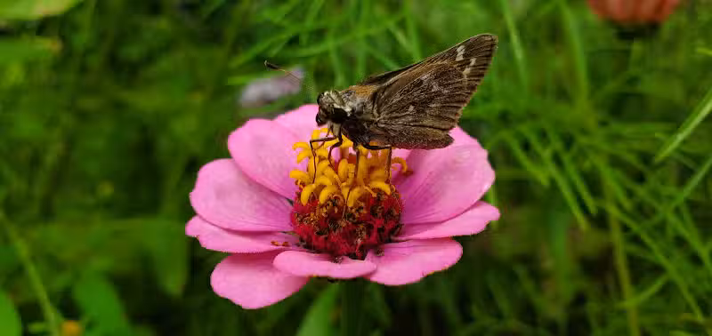 Crawford Farms Park - Blacklick, OH