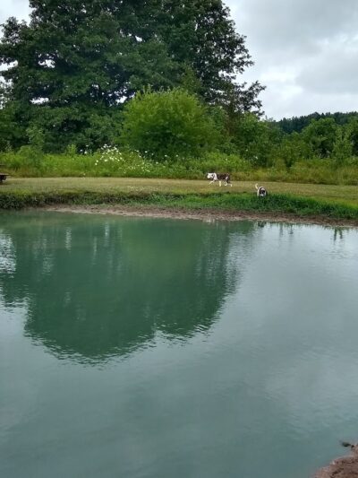 Tom Harvey Memorial Dog Park - Blanchester, OH