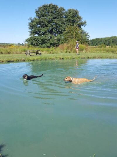 Tom Harvey Memorial Dog Park - Blanchester, OH