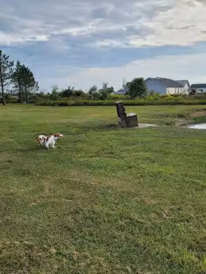 Tom Harvey Memorial Dog Park - Blanchester, OH