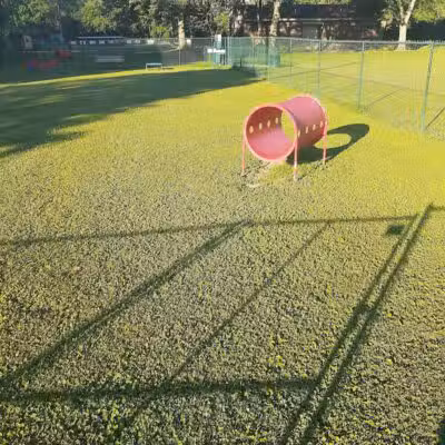 Dog Park @Bachmayer Park - Blissfield, MI