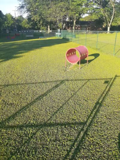 Dog Park @Bachmayer Park - Blissfield, MI