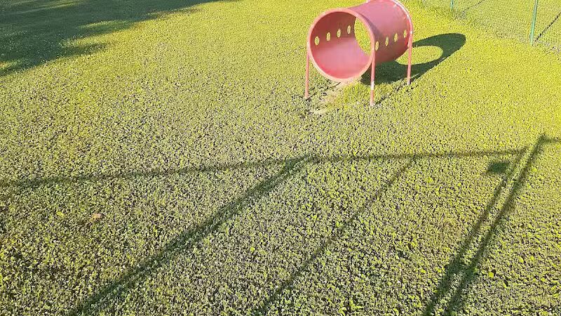 Dog Park @Bachmayer Park - Blissfield, MI