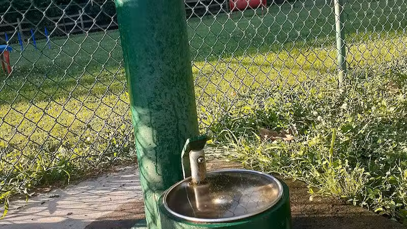 Dog Park @Bachmayer Park - Blissfield, MI