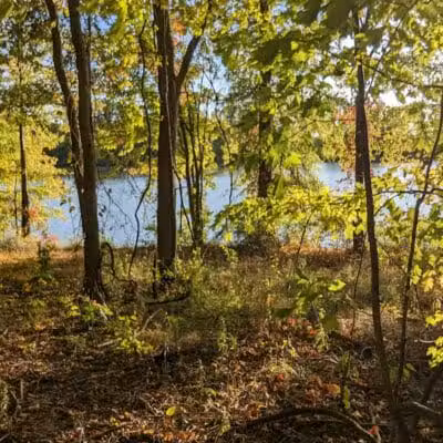 Garlo Heritage Nature Preserve - Bloomville, OH