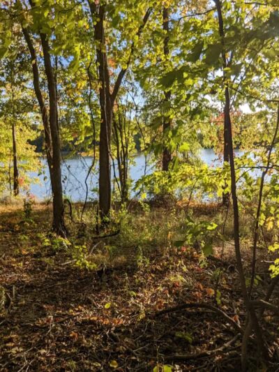 Garlo Heritage Nature Preserve - Bloomville, OH