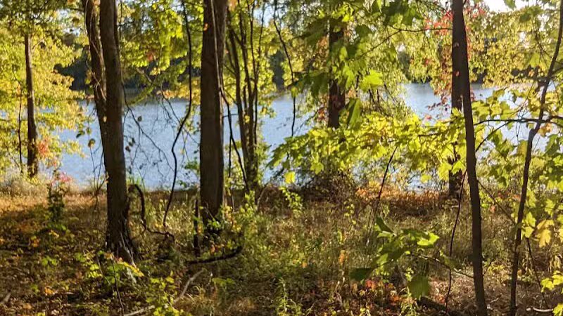 Garlo Heritage Nature Preserve - Bloomville, OH