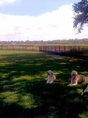 Summit Park - Blue Ash, OH