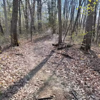 Shawnee State Park, Turkey Creek Lake - Blue Creek, OH