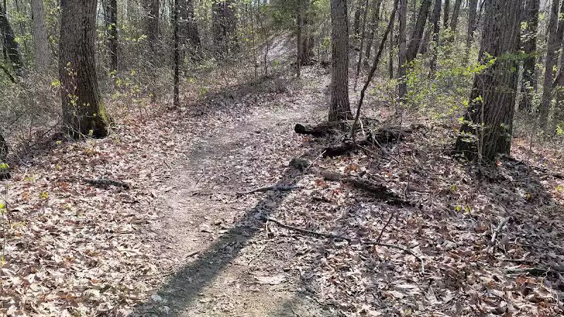 Shawnee State Park, Turkey Creek Lake - Blue Creek, OH