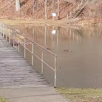 Shawnee State Park, Turkey Creek Lake - Blue Creek, OH