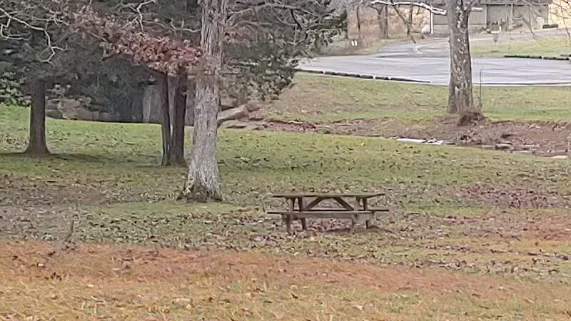 Shawnee State Park, Turkey Creek Lake - Blue Creek, OH