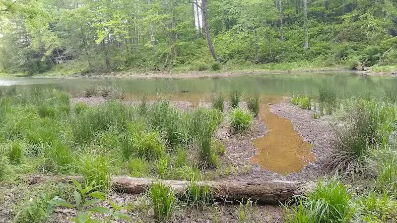 Shawnee State Park, Turkey Creek Lake - Blue Creek, OH