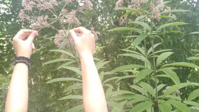 Shawnee State Park, Turkey Creek Lake - Blue Creek, OH