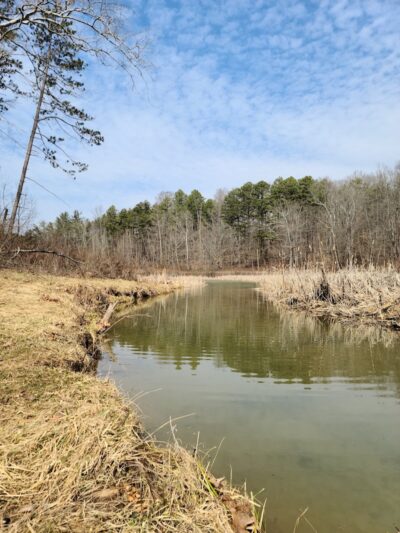 Blue Rock State Park - Blue Rock, OH