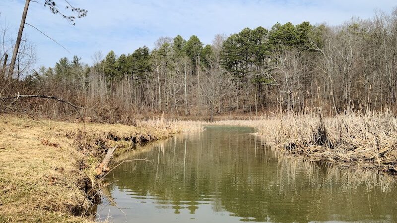 Blue Rock State Park - Blue Rock, OH