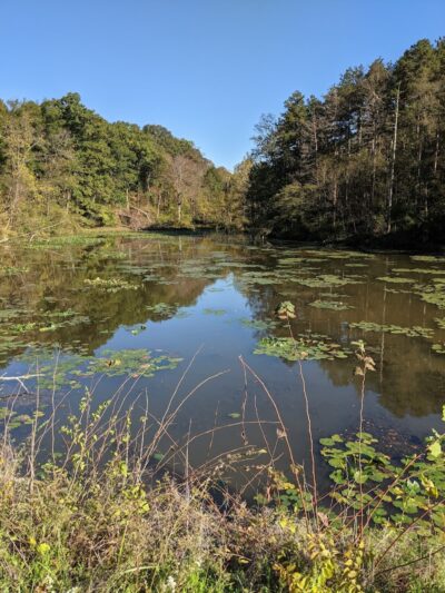 Blue Rock State Park - Blue Rock, OH