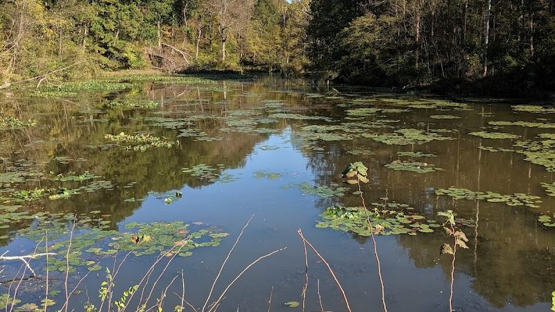 Blue Rock State Park - Blue Rock, OH