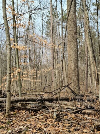 Blue Rock State Park - Blue Rock, OH