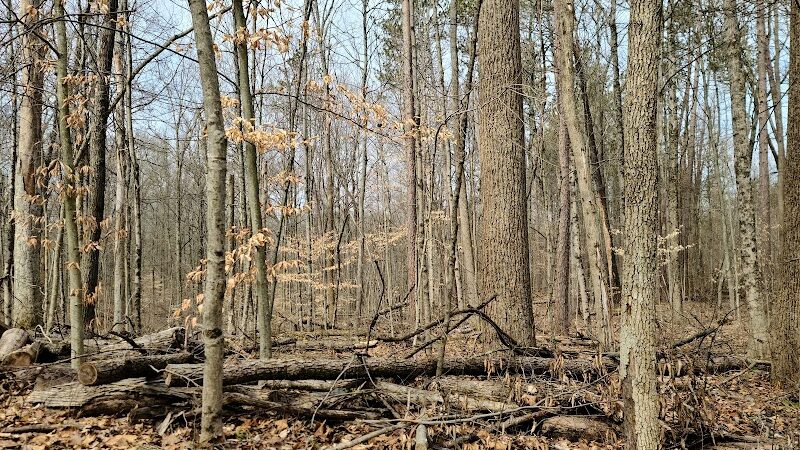 Blue Rock State Park - Blue Rock, OH