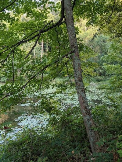 Blue Rock State Park - Blue Rock, OH