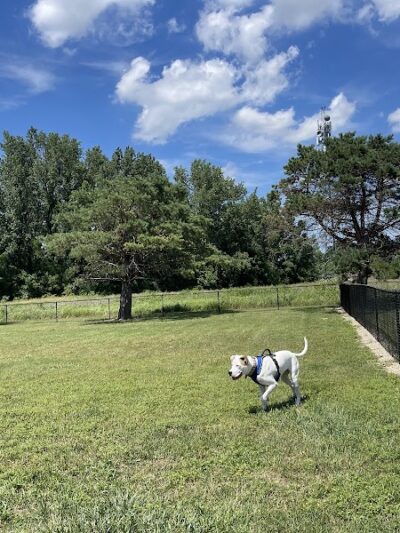 Bluffton Community Dog Park - Bluffton, OH
