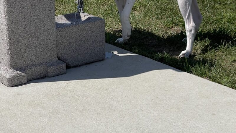 Bluffton Community Dog Park - Bluffton, OH