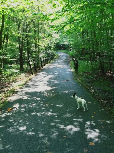 Boardman Park - Boardman, OH