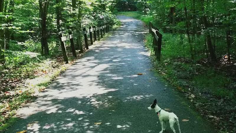 Boardman Park - Boardman, OH