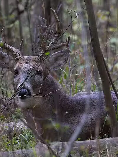 Route 224 Trailhead - East Golf Hike & Bike Trail - Boardman, OH