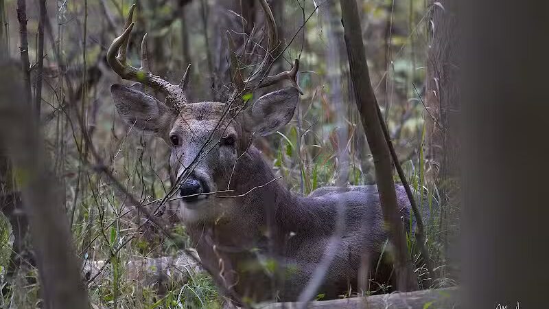 Route 224 Trailhead - East Golf Hike & Bike Trail - Boardman, OH