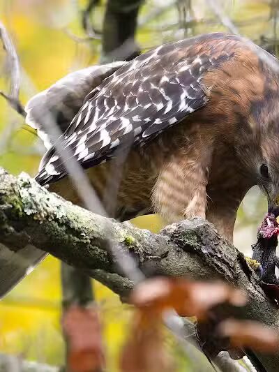 Route 224 Trailhead - East Golf Hike & Bike Trail - Boardman, OH