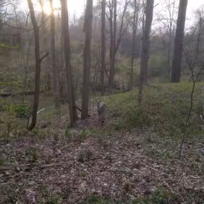Route 224 Trailhead - East Golf Hike & Bike Trail - Boardman, OH