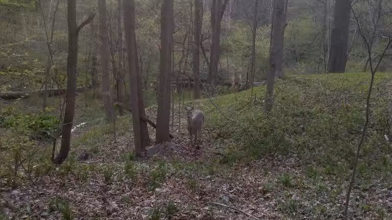 Route 224 Trailhead - East Golf Hike & Bike Trail - Boardman, OH