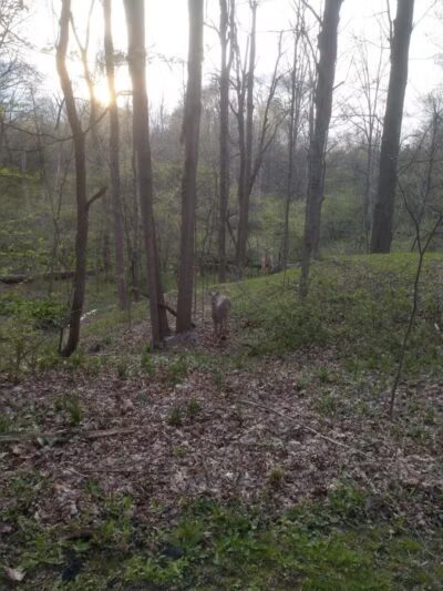 Route 224 Trailhead - East Golf Hike & Bike Trail - Boardman, OH