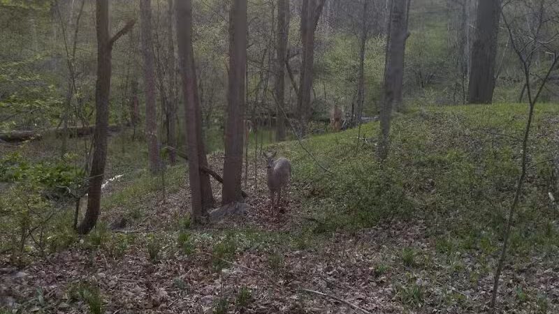 Route 224 Trailhead - East Golf Hike & Bike Trail - Boardman, OH