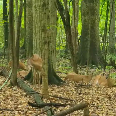 Route 224 Trailhead - East Golf Hike & Bike Trail - Boardman, OH