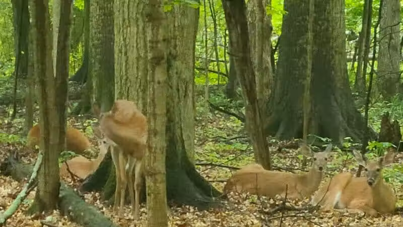 Route 224 Trailhead - East Golf Hike & Bike Trail - Boardman, OH