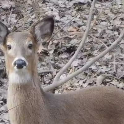 Route 224 Trailhead - East Golf Hike & Bike Trail - Boardman, OH